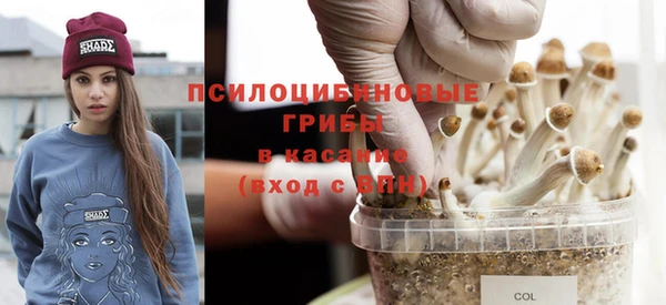 твердый Волоколамск