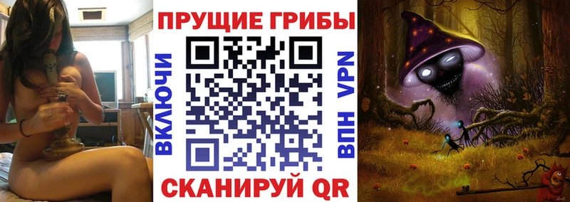 Псилоцибиновые грибы Psilocybine cubensis  Ноябрьск 